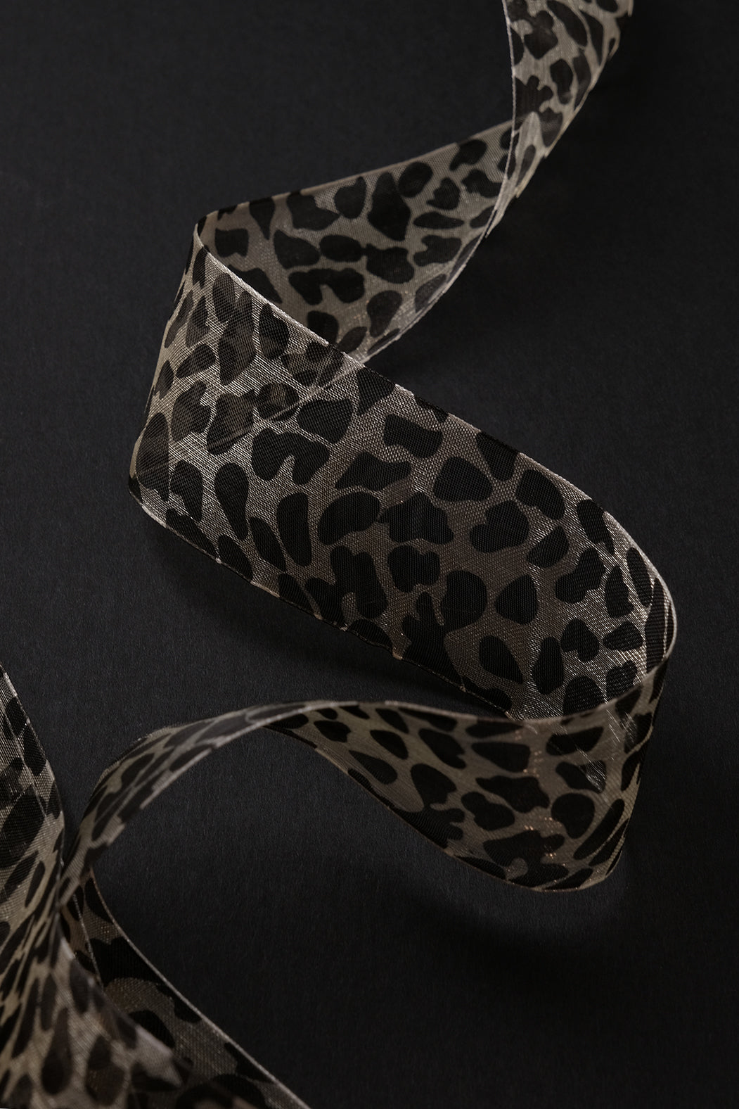 Gift Wrap Ribbon-KIOSK48TH-KIOSK48TH