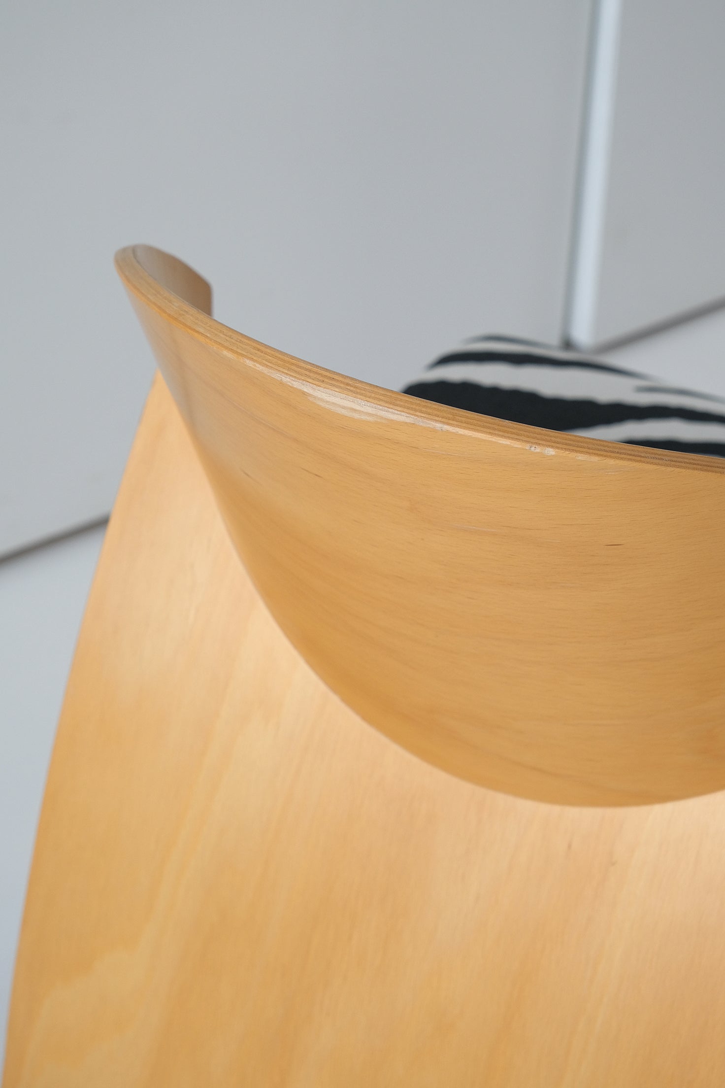 Rav Zebra Lounge Chair
