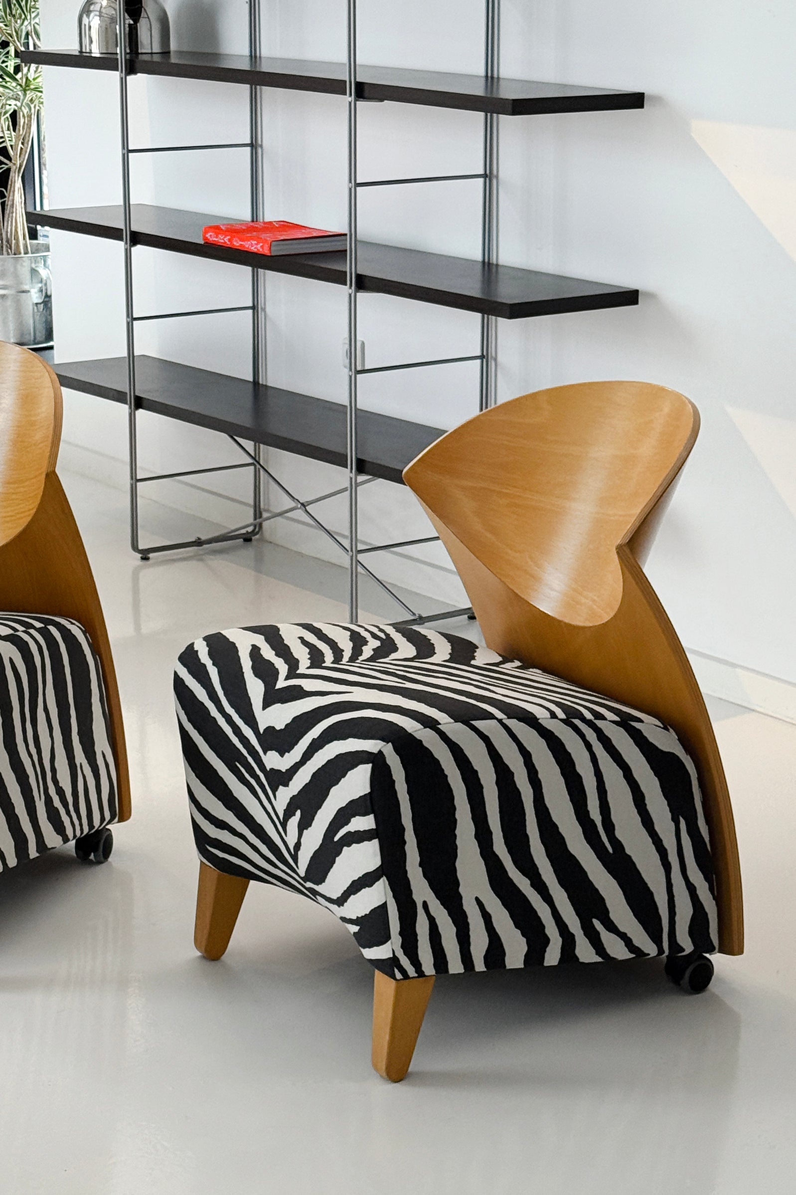 Rav Zebra Lounge Chair