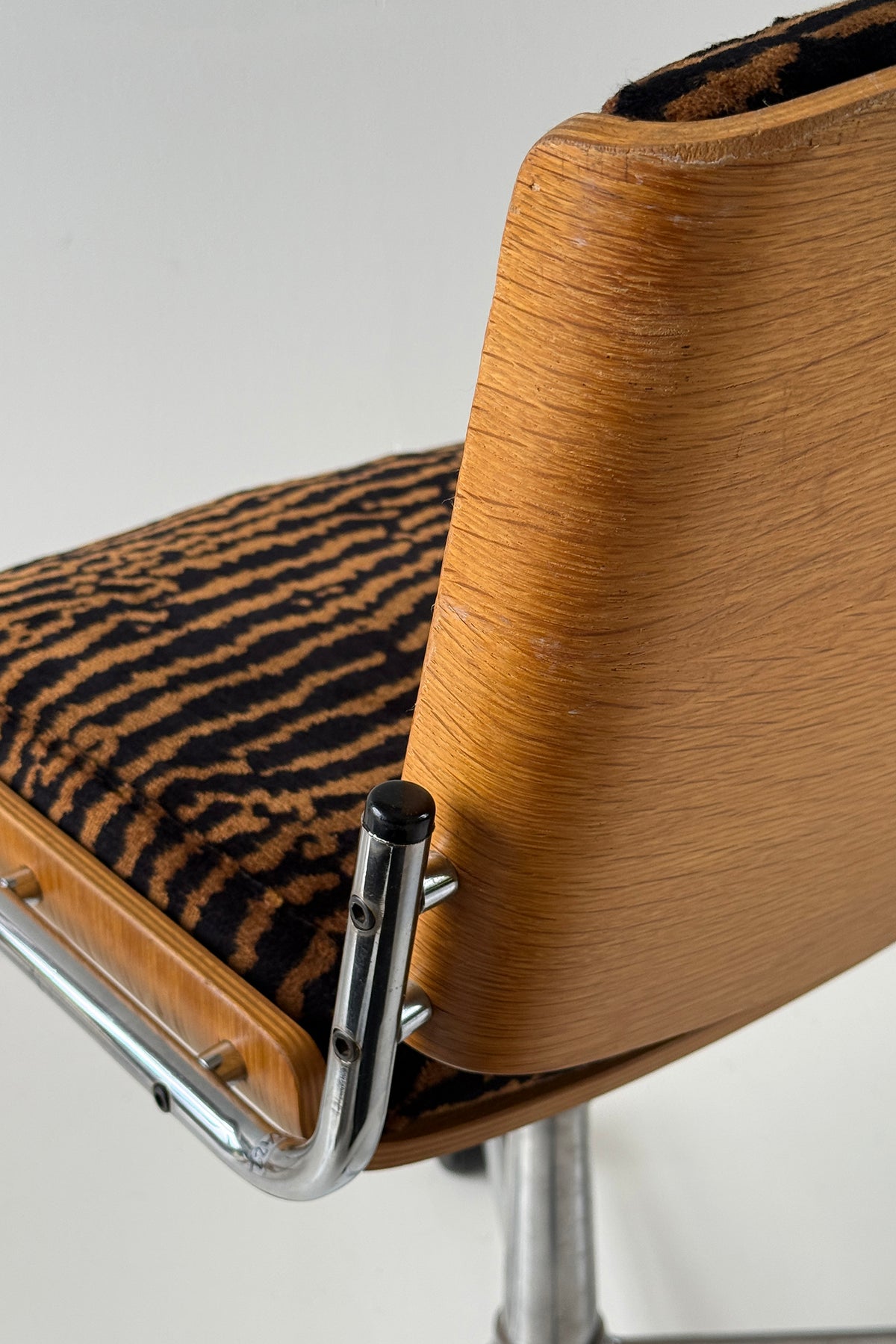 Tiger Stol Eg