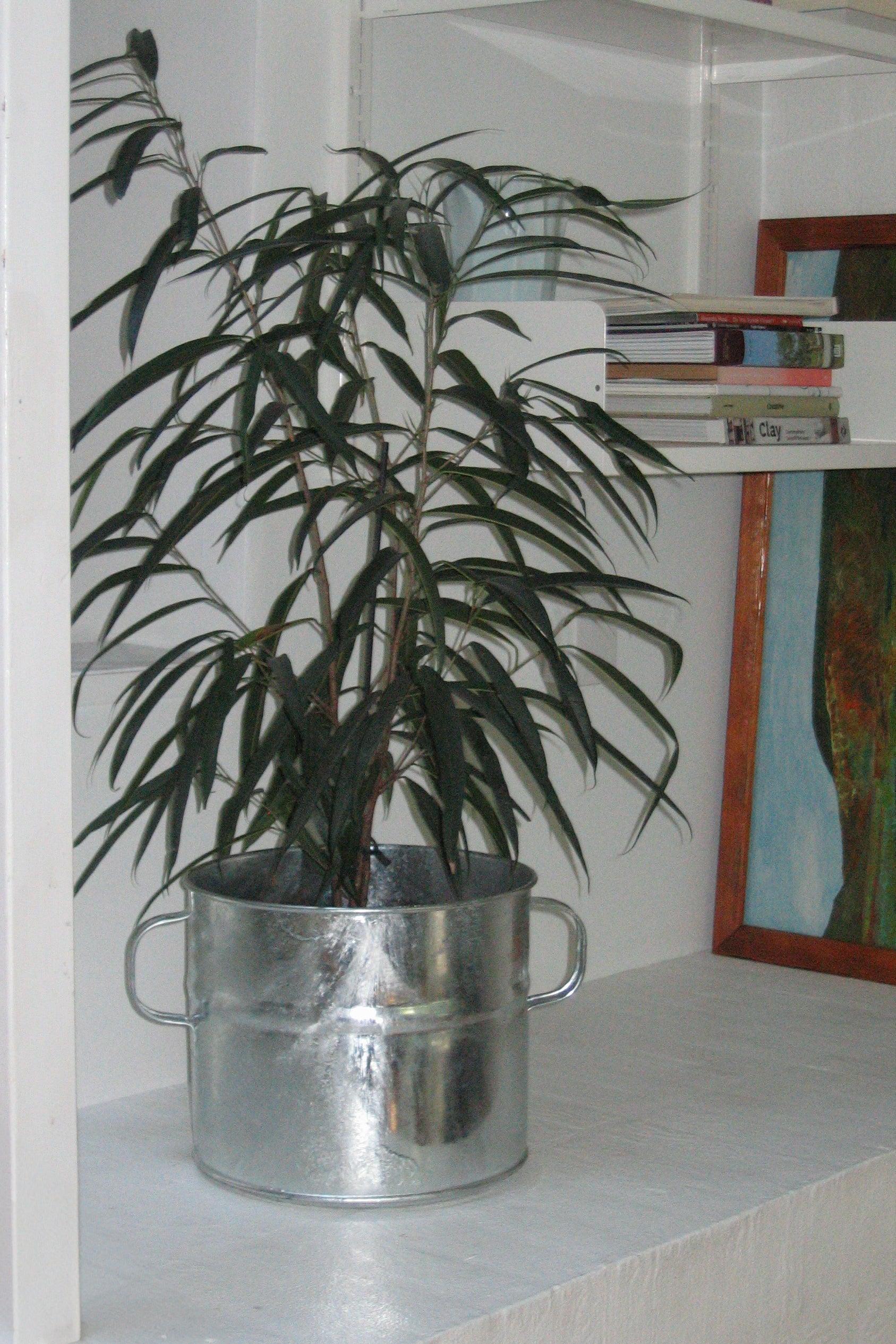 Zink Plant Pot 25cm-Objects-KIOSK48TH