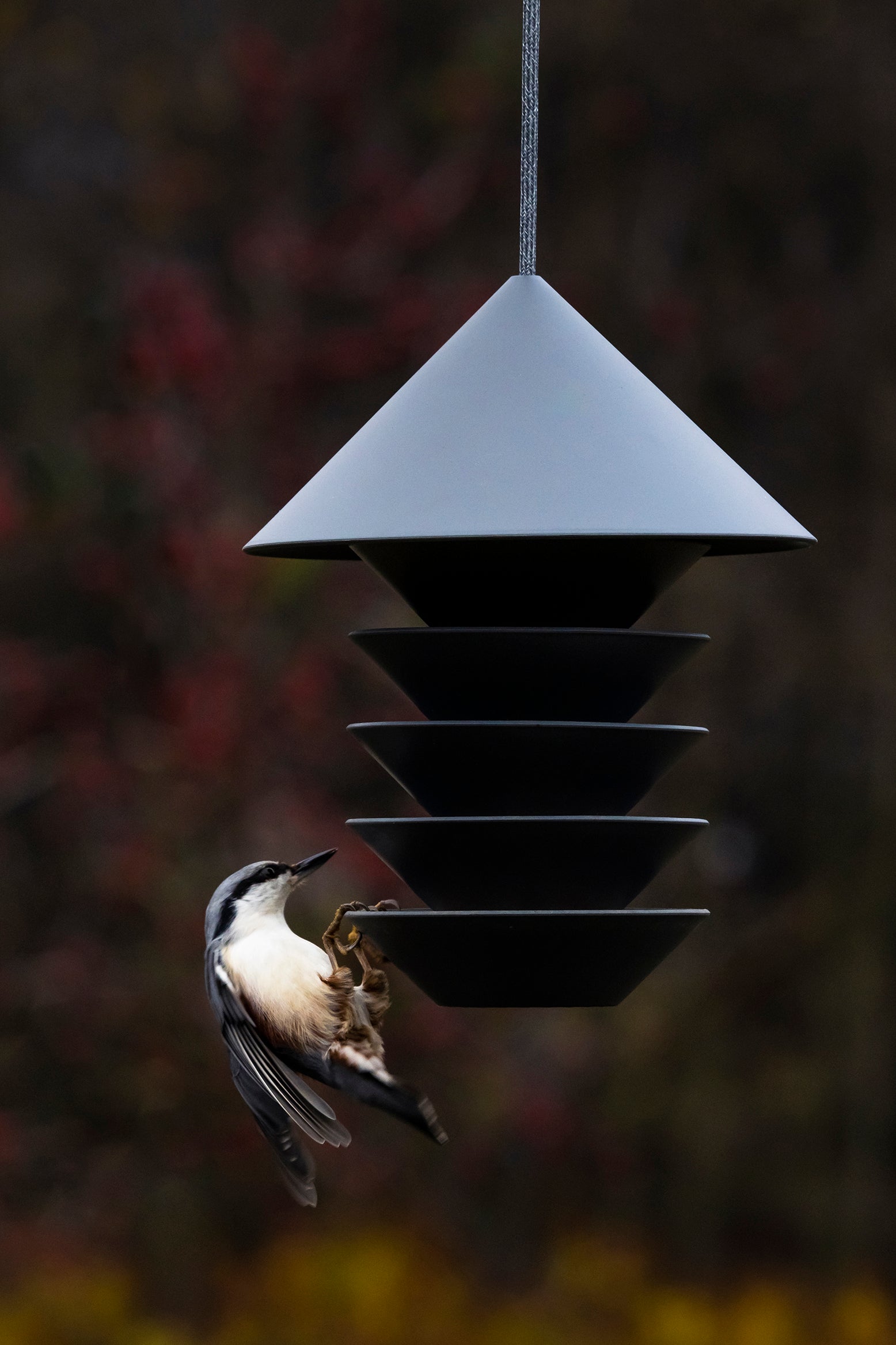 Bird Silo Slate – KIOSK48TH