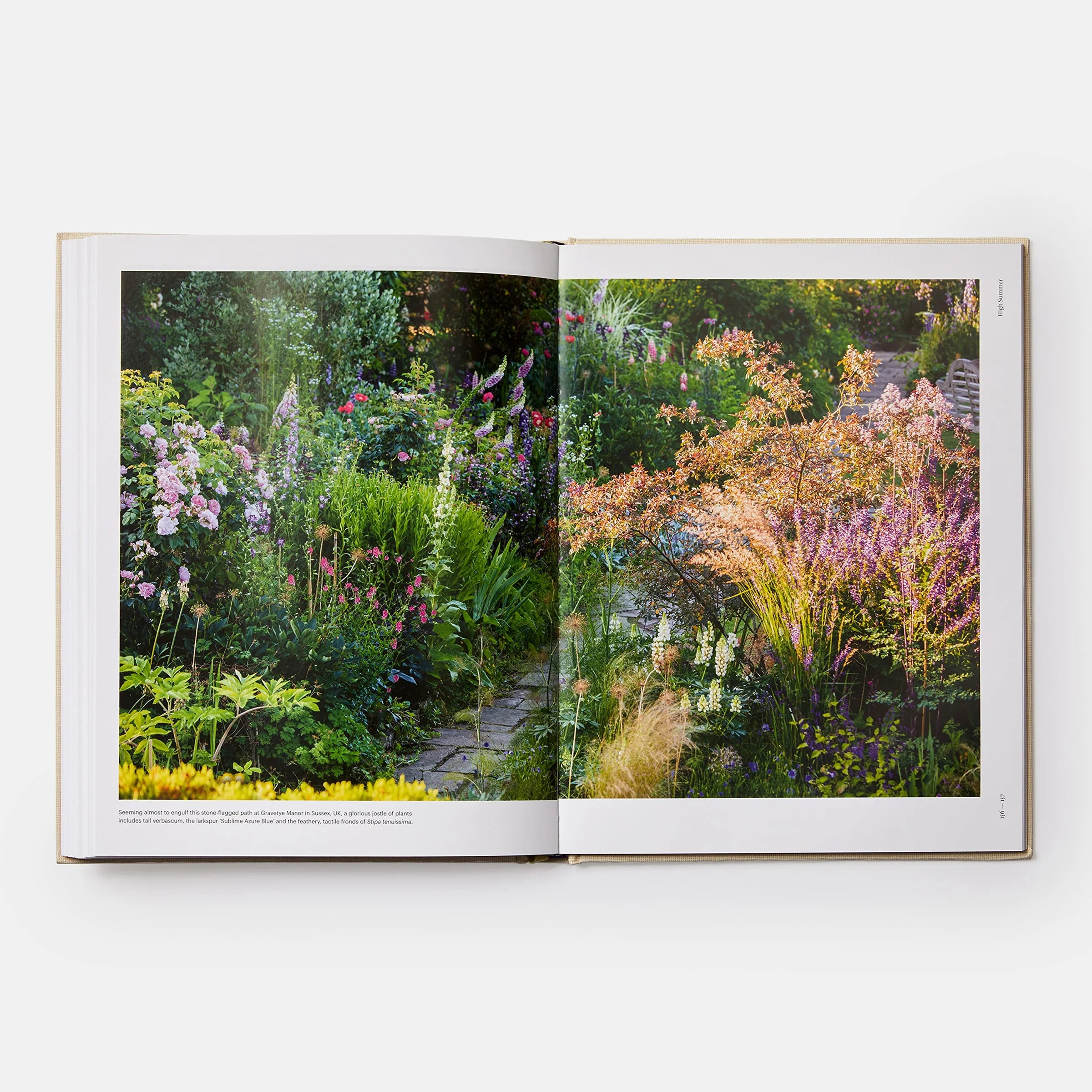 The Seasonal Gardener: Creative Planting Combinations