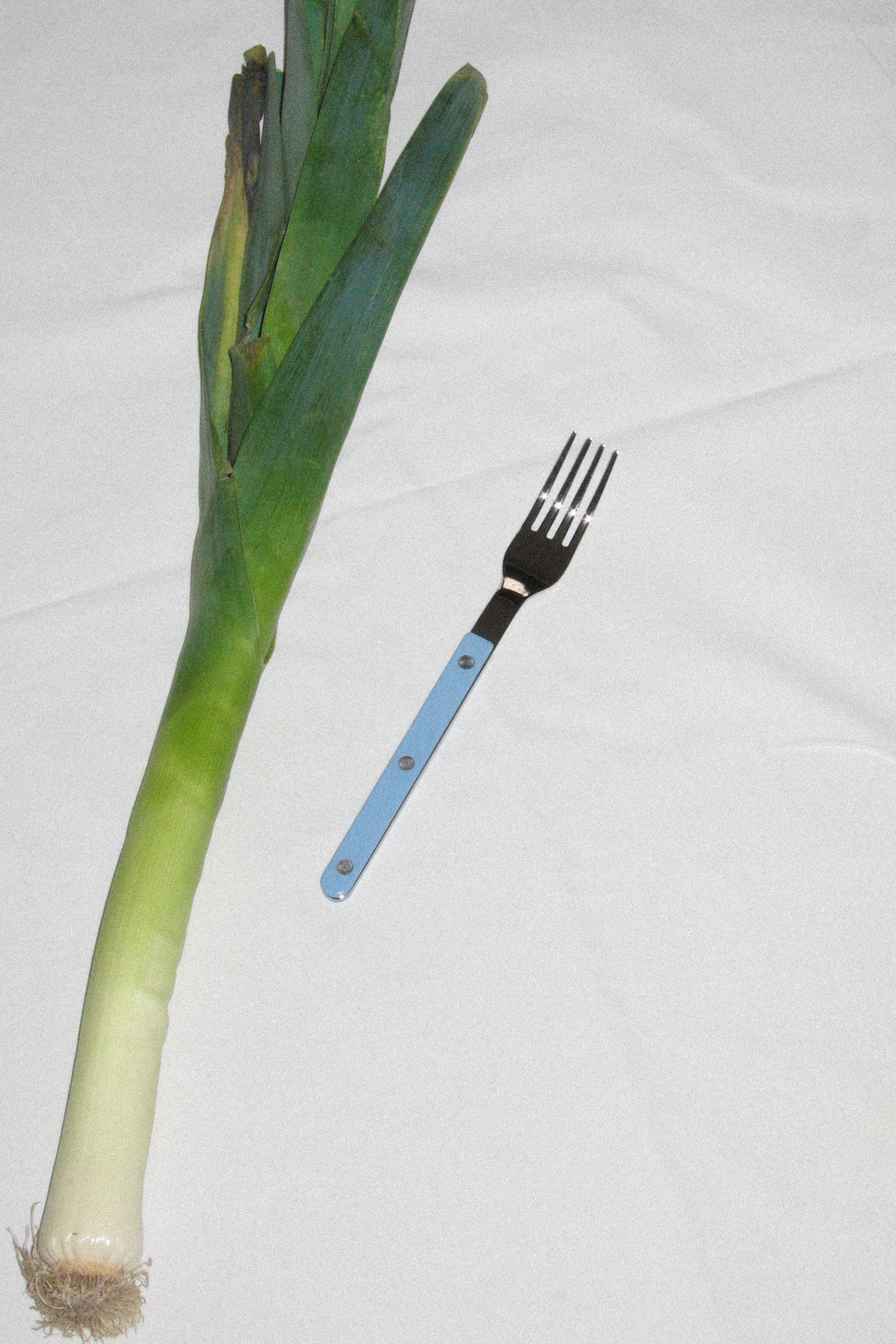 Bistrot cutlery pastel blue-Sabre Paris-[interior]-[design]-KIOSK48TH