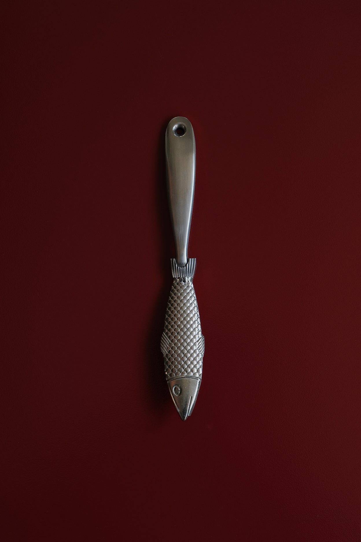 Fish Scaler-Inox-KIOSK48TH