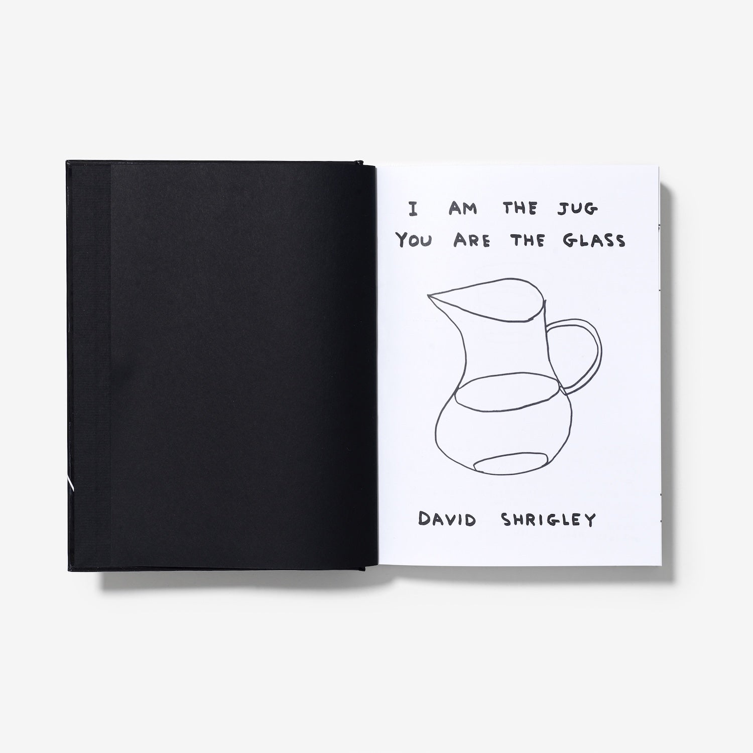 I Am The Jug You are The Glas-David Shrigley-KIOSK48TH