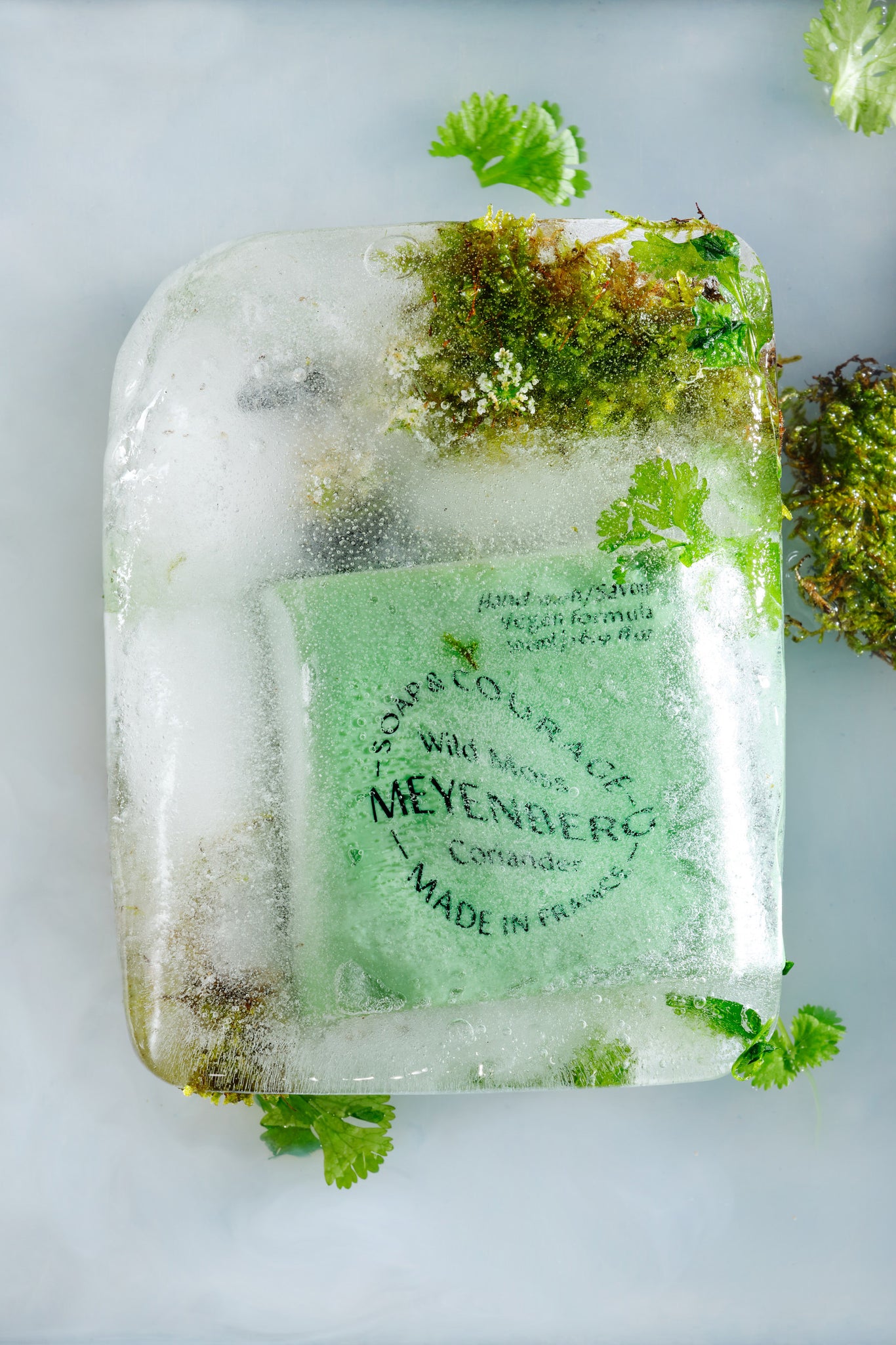 Hand wash wild moss & coriander-Meyenberg-KIOSK48TH