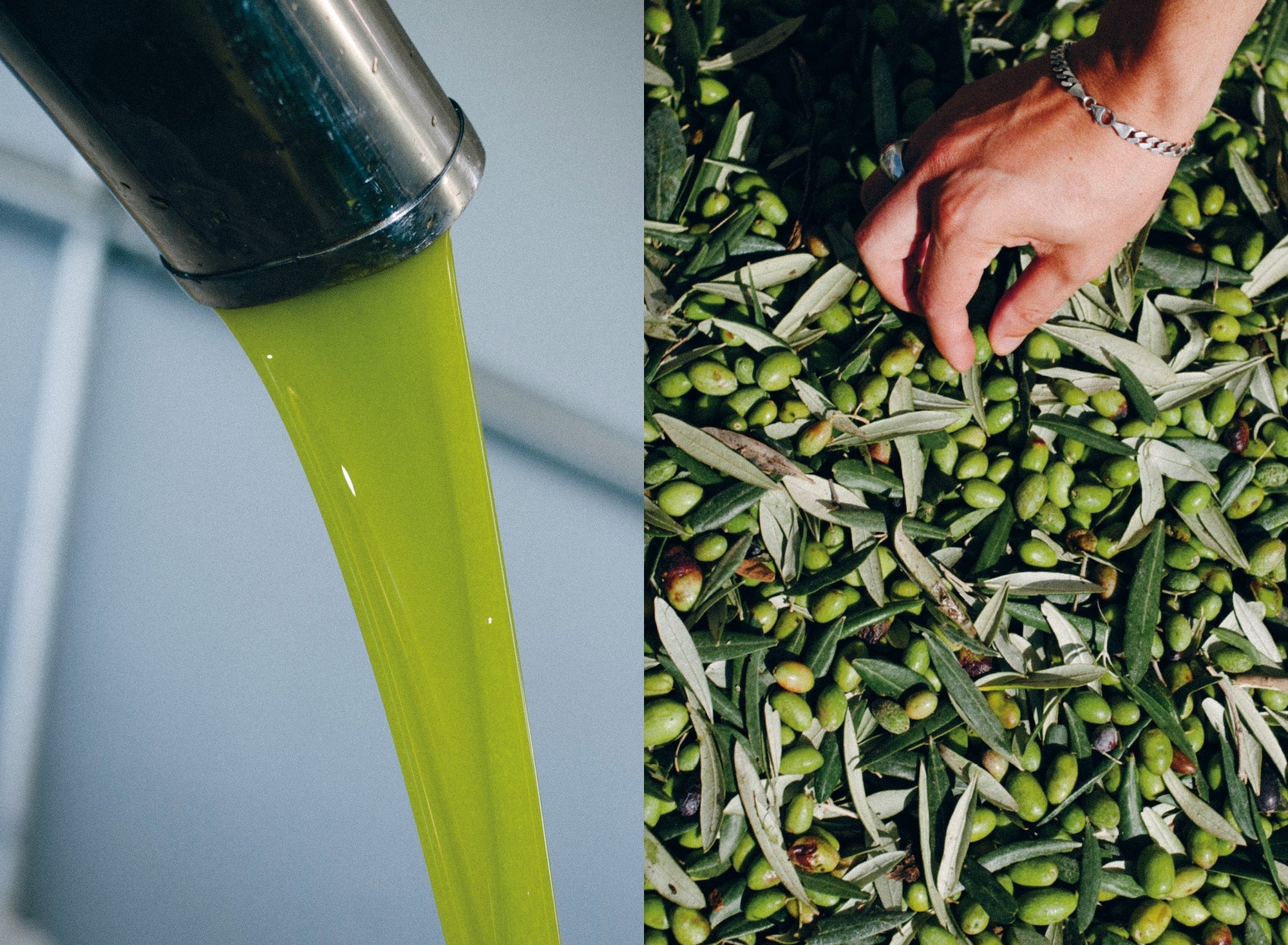 Olive Oil-Cibocca-KIOSK48TH