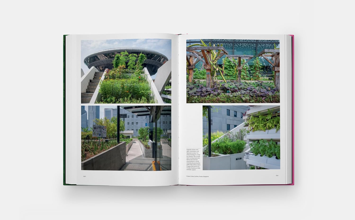 The Kitchen Garden-Phaidon-KIOSK48TH