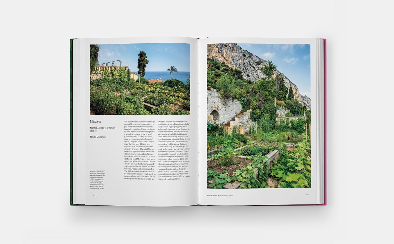 The Kitchen Garden-Phaidon-KIOSK48TH