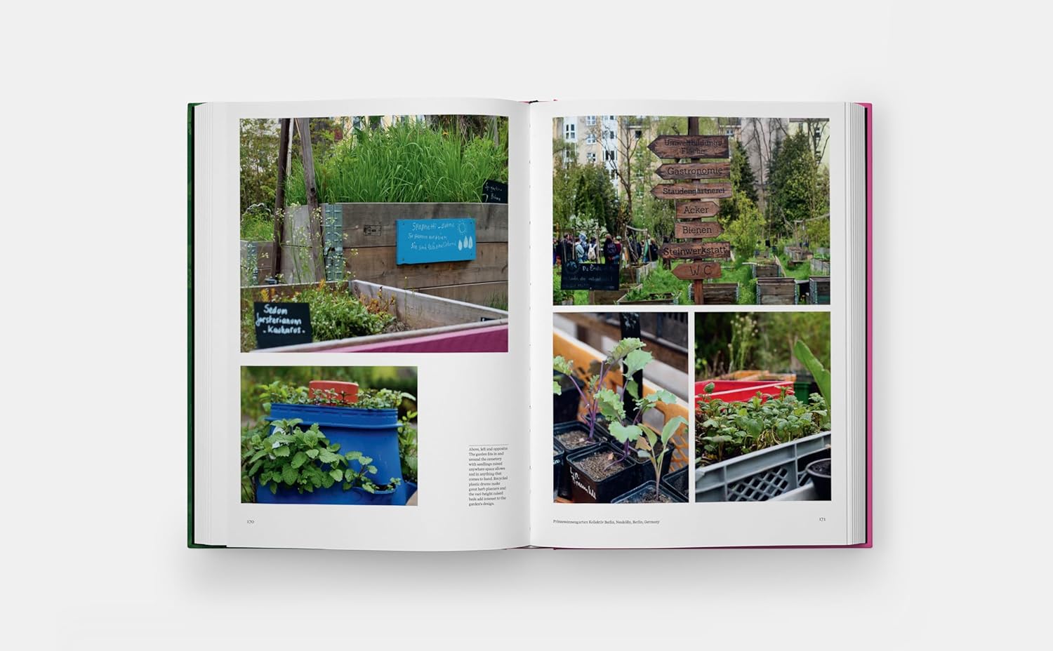 The Kitchen Garden-Phaidon-KIOSK48TH