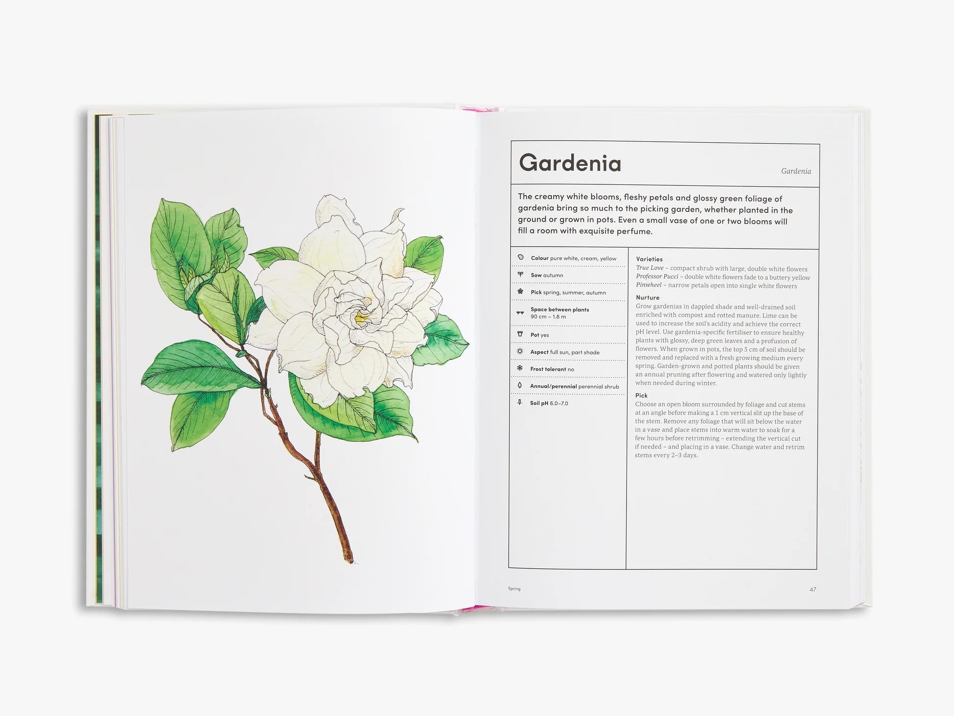 The Picking Garden-Thames & Hudson-KIOSK48TH