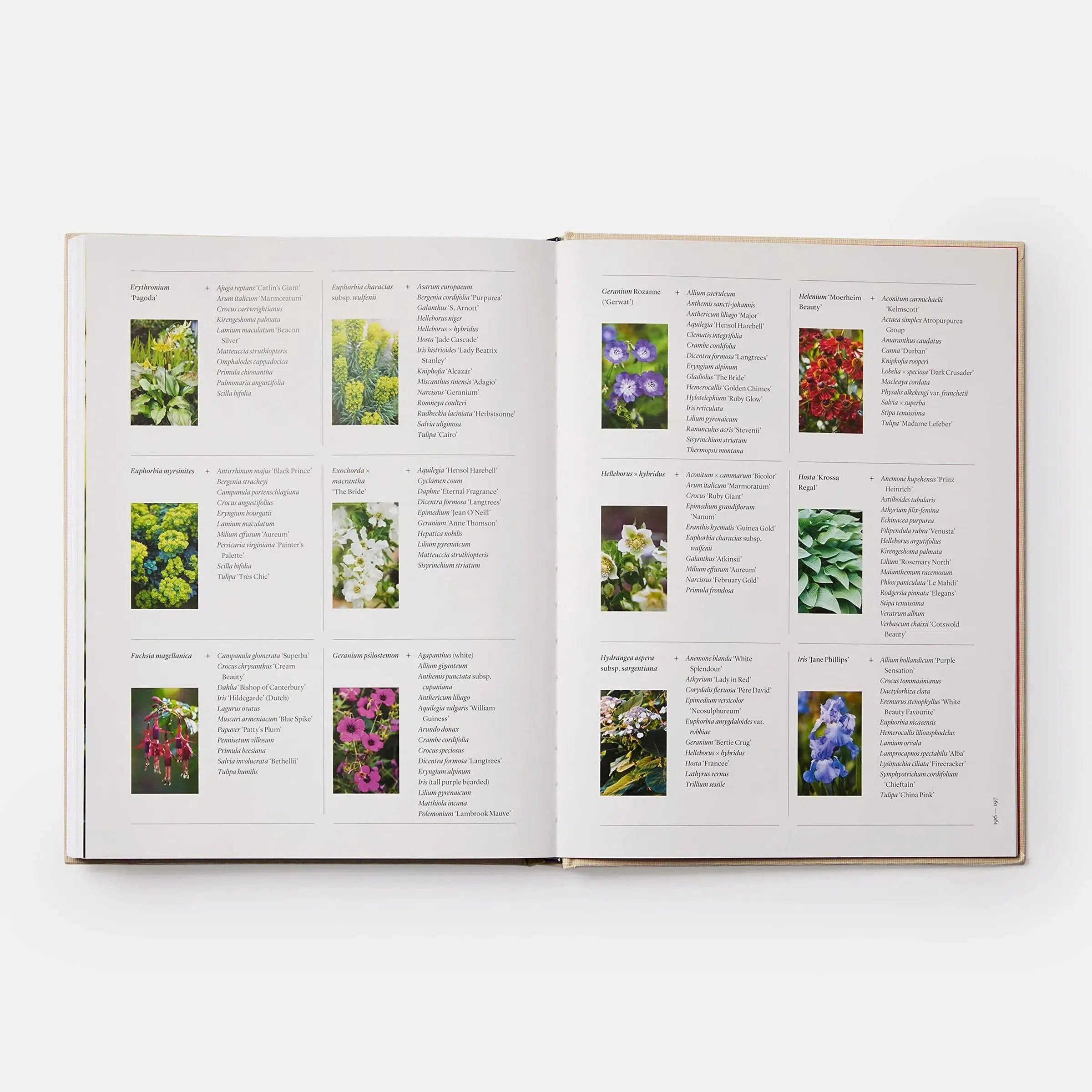 The Seasonal Gardener: Creative Planting Combinations-Phaidon-KIOSK48TH