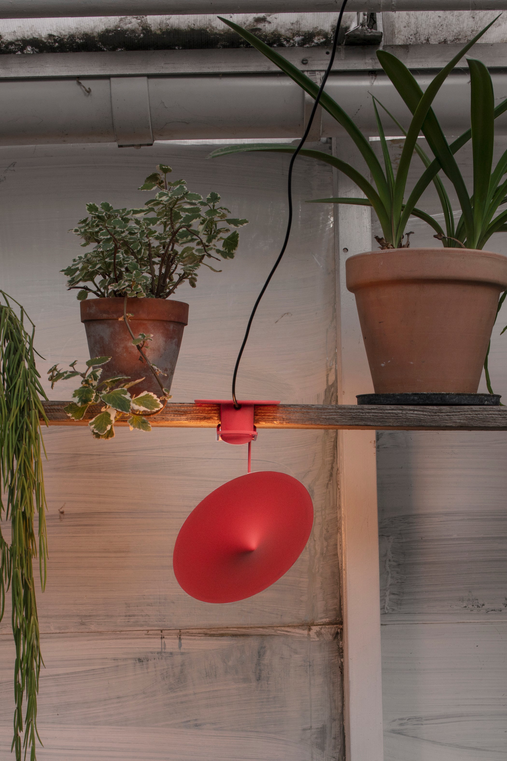 w153 Île Poppy Red-Wästberg-KIOSK48TH