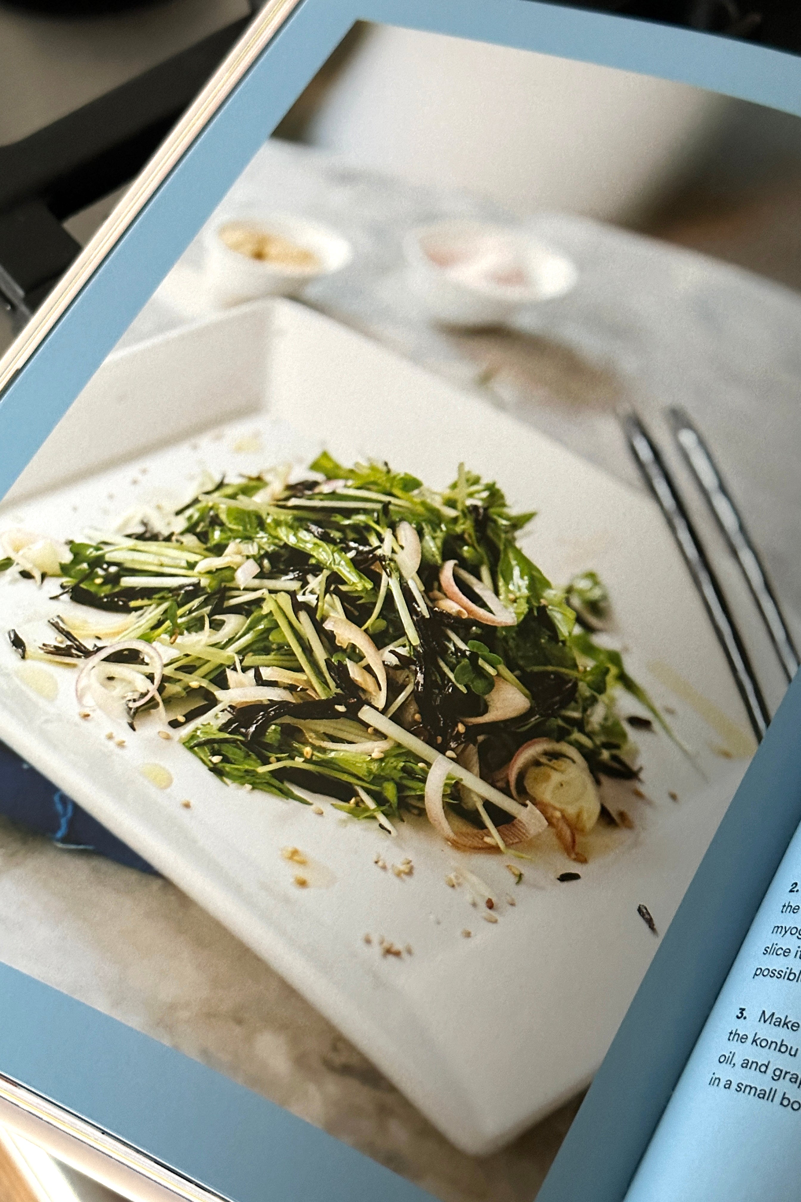 Salad for president-Abrams-[interior]-[design]-KIOSK48TH
