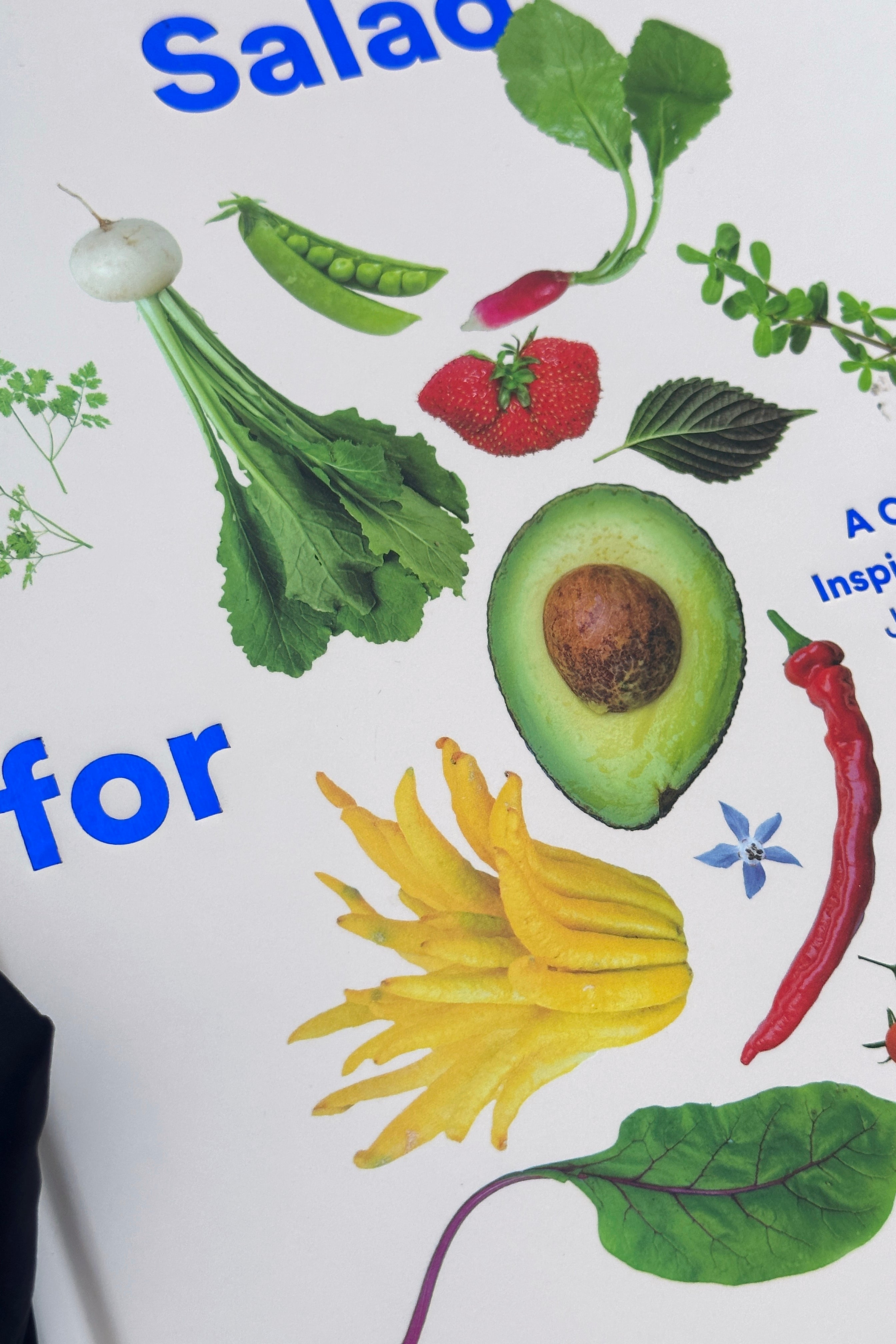 Salad for president-Abrams-[interior]-[design]-KIOSK48TH