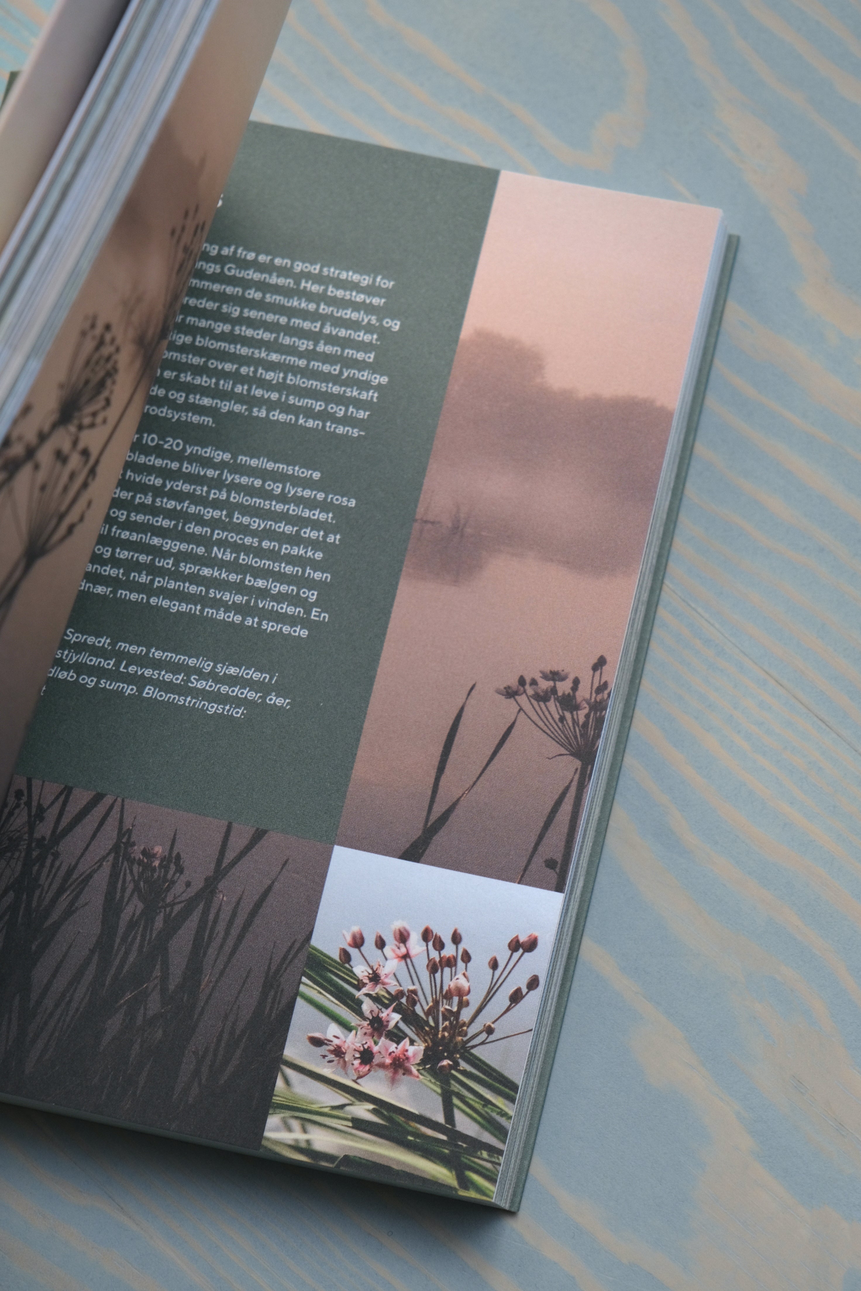 Vandreguide Gudenåen-Dear Nature-[interior]-[design]-KIOSK48TH